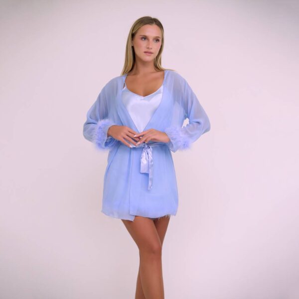 Satin Dress & Tulle With Soft Feather - Image 2