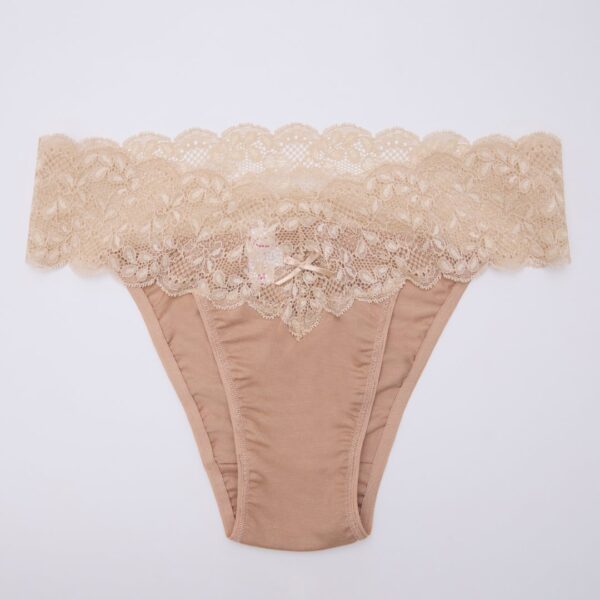 Cotton and Lace Panty