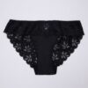 Microfiber Panty with Full Lace at Back - Image 3