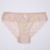 Microfiber Panty with Full Lace at Back