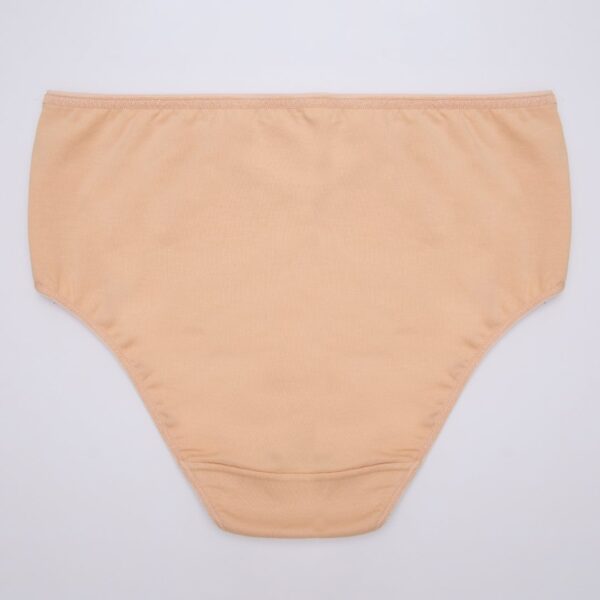 High Waist Cotton Panty - Image 8