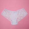 Microfiber Panty with Full Lace at Back
