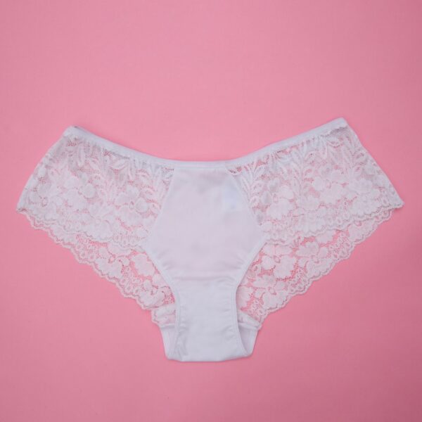 Microfiber Panty with Full Lace at Back