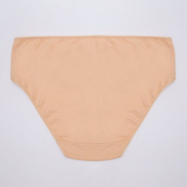 Medium Waist Cotton Bikini Panty With Lace Side Panels - Image 4