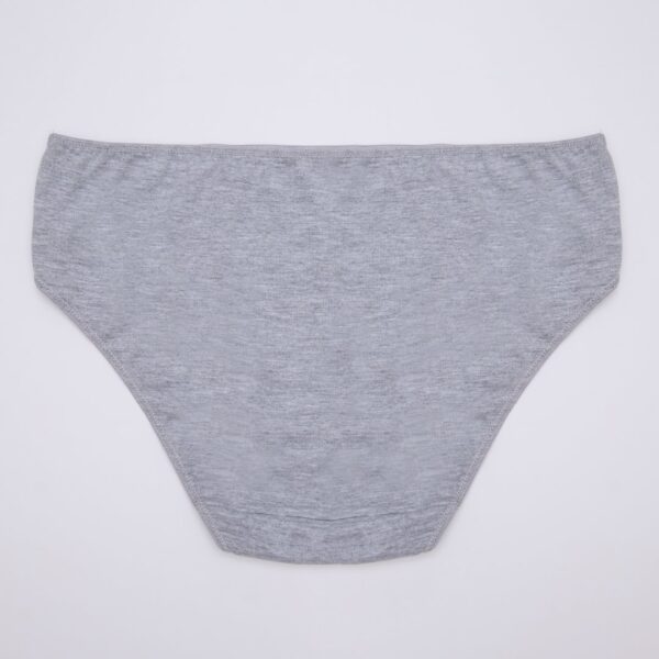Medium Waist Cotton Bikini Panty With Lace Side Panels - Image 2