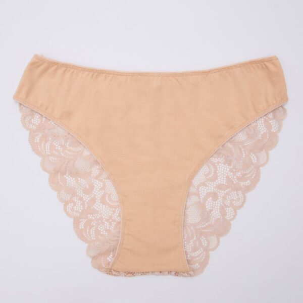 Full Lace Cotton Panty - Image 5
