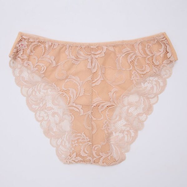 Full Lace Cotton Panty - Image 6
