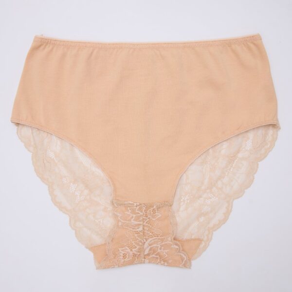 Full Lace Cotton Panty - Image 7