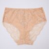 Full Lace Cotton Panty - Image 8