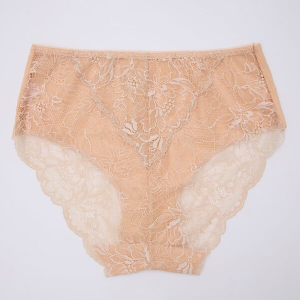 Full Lace Cotton Panty - Image 8