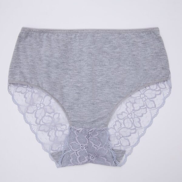 Full Lace Cotton Panty - Image 4