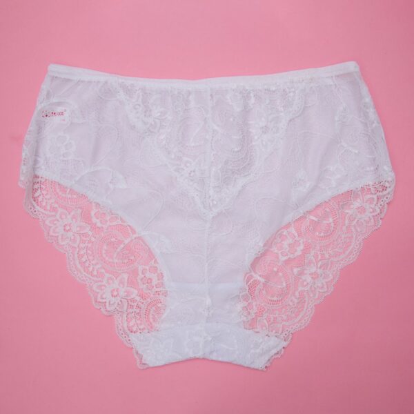 Full Lace Cotton Panty - Image 6