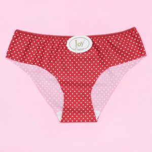 Microfiber Seamless Panty