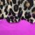 Magenta Leopard